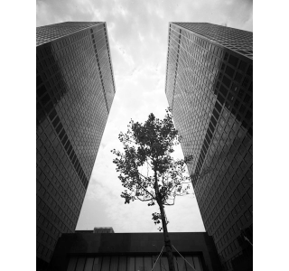 Illustration for article titled Trove of Architectural Photos Shows When LA's Skyline Became Modern